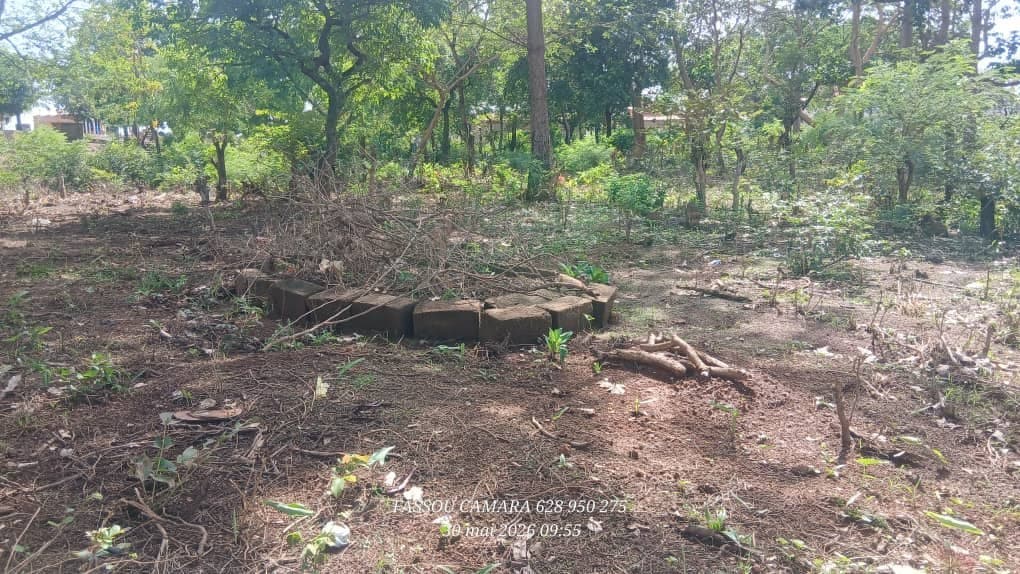 Kankan : à Bordo-SOS, les habitants se mobilisent pour protéger leur cimetière profané