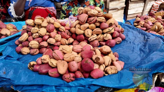 Kankan : le sac de cola passe de 600 000 à 2,25 millions GNF, vendeuses et futurs mariés sous pression
