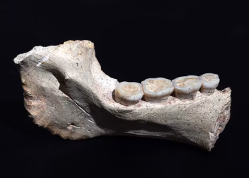 ߡߊ߬ߙߐߞߎ߬: ߕߐ߬ߞߘߐ ߘߏ߫ ߓߘߊ߫ ߦߋ߫ ߝߘߊ߬ߝߌ߲ ߠߎ߬ ߟߊ߫ ߡߐ߰ߦߊ ߓߐߛߎ߲߫ ߞߏ ߔߘߋߔߘߋߟߊߕߍ߱ ߘߌ߫߸ ߡߍ߲ ߠߊ߫ ߞߘߐ߬ߦߊ ߘߌ߫ ߛߊ߲߭ ߇߇߃ ߀߀߀ ߢߐ߲߰ ߓߐ߫